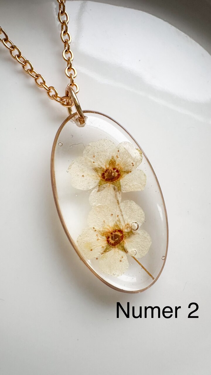 naszyjnik z kwiatów zalanych żywicą, biżuteria z prawdziwych kwiatów, ręcznie robiona biżuteria z żywicy, biżuteria z suszonych kwiatów, złoty naszyjnik elipsa, złoty medalion z kwiatem, nietypowy pomysł na prezent dla niej, biżuteria handmade, naszyjnik z żywicy z kwiatami, biżuteria artystyczna, biżuteria z natury, biżuteria z żywicy epoksydowej, delikatna biżuteria dla niej, unikalny prezent dla kobiety, naszyjnik z prawdziwymi kwiatami, biżuteria z żywicy handmade, kwiaty zatopione w żywicy, biżuteria dla miłośniczki naturynaszyjnik z kwiatów zalanych żywicą, biżuteria z prawdziwych kwiatów, ręcznie robiona biżuteria z żywicy, biżuteria z suszonych kwiatów, złoty naszyjnik elipsa, złoty medalion z kwiatem, nietypowy pomysł na prezent dla niej, biżuteria handmade, naszyjnik z żywicy z kwiatami, biżuteria artystyczna, biżuteria z natury, biżuteria z żywicy epoksydowej, delikatna biżuteria dla niej, unikalny prezent dla kobiety, naszyjnik z prawdziwymi kwiatami, biżuteria z żywicy handmade, kwiaty zatopione w żywicy, biżuteria dla miłośniczki natury